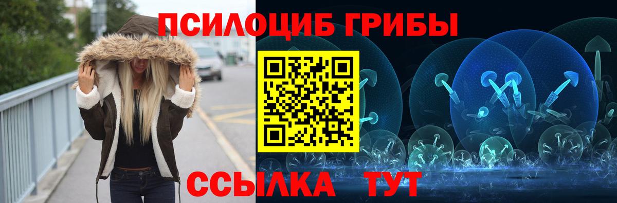Аша  Галлюциногенные грибы Psilocybine cubensis  Вход с VPN 